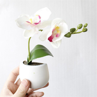 〖Follure〗Artificial Flower Succulent Plant Refrigerator Sticker Bonsai Magnet GreenPlant
〖Follure〗Artificial Flower Succulent Plant Refrigerator Sticker Bonsai Magnet GreenPlant