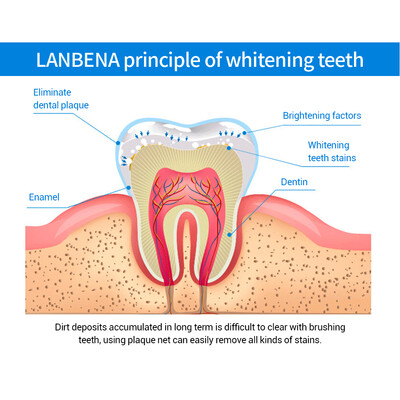 1 Bottle 10 Ml Teeth Whitening Essence Liquid Mouth Cleaning Tools Toothpaste Bleaching Tooth Cleaning Water Whitening Product
1 Bottle 10 Ml Teeth Whitening Essence Liquid Mouth Cleaning Tools Toothpaste Bleaching Tooth Cleaning Water Whitening Product