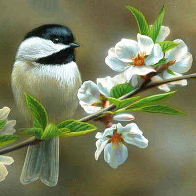 5D DIY Diamond Painting Animal Bird Rhinestones Picture Full Square Diamond Embroidery Sale Diamond Mosaic Decor Home
5D DIY Diamond Painting Animal Bird Rhinestones Picture Full Square Diamond Embroidery Sale Diamond Mosaic Decor Home
