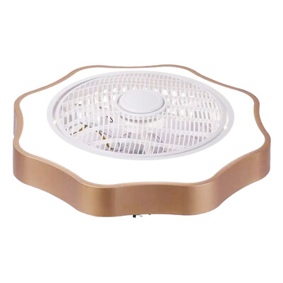 Ceiling Fan with Lighting LED Light Stepless Dimming Adjustable Wind Speed Remote Control Without Battery Modern LED Ceiling Light
Ceiling Fan with Lighting LED Light Stepless Dimming Adjustable Wind Speed Remote Control Without Battery Modern LED Ceiling Light