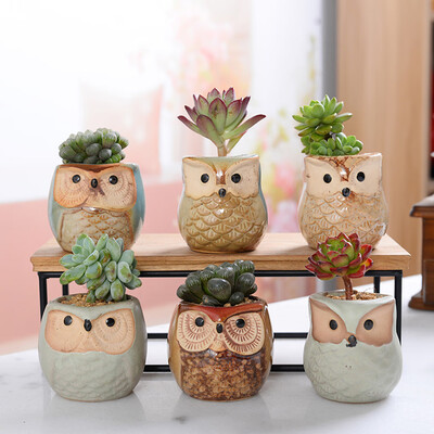 Gobestart Owl Flower Pot Thumb Pot Set Multi-meat Pot Mini Flower Pot Perfect Gift Idea
