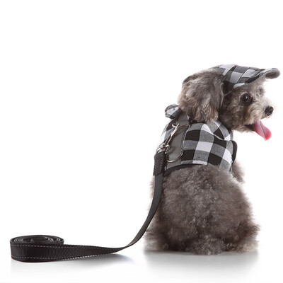 Cute Elegant Dog Cat Pet Vest Harness with Lace&Short Skirt Dress Matching Leash Set for Dogs Cats Pets
Cute Elegant Dog Cat Pet Vest Harness with Lace&Short Skirt Dress Matching Leash Set for Dogs Cats Pets