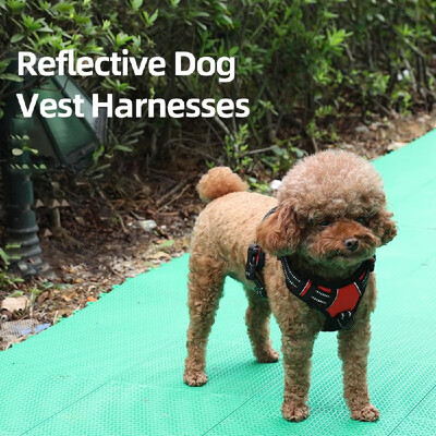 Dog Vest Harnesses Reflective Service Dog Harness Adjustable Service Dog Vest for Outdoor Walking
Dog Vest Harnesses Reflective Service Dog Harness Adjustable Service Dog Vest for Outdoor Walking