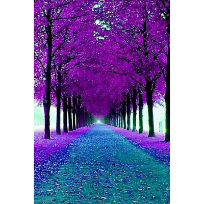 Toponeto 5D Embroidery Paintings Rhinestone Pasted DIY Diamond Painting Cross Stitch
Toponeto 5D Embroidery Paintings Rhinestone Pasted DIY Diamond Painting Cross Stitch