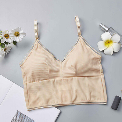 Women Beauty Padded Back Bra Wild Tube Top Underwear Eight-Breasted Slim Vest With Padded Long Hem Strap Bra
Women Beauty Padded Back Bra Wild Tube Top Underwear Eight-Breasted Slim Vest With Padded Long Hem Strap Bra