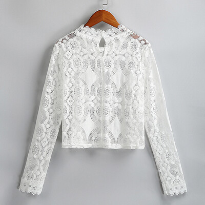 Women Cover Up See Through Floral Lace Hollow Out High Neckline Long Sleeve Sexy Beach Blouse
Women Cover Up See Through Floral Lace Hollow Out High Neckline Long Sleeve Sexy Beach Blouse