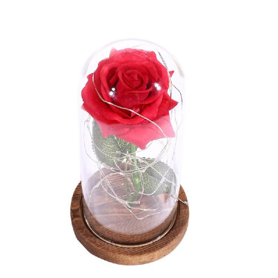 LED Rose Flower String Fairy Light Bottle Night Lamp Romantic Wedding Decor Glass Cover Wood Base for Christmas Birthday Gift
LED Rose Flower String Fairy Light Bottle Night Lamp Romantic Wedding Decor Glass Cover Wood Base for Christmas Birthday Gift