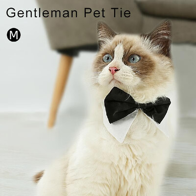 Pet Dog Bow Tie Scarf Bowtie Collars Gentleman Pet Tie Dress-up Costume for Dog Cat Pet
Pet Dog Bow Tie Scarf Bowtie Collars Gentleman Pet Tie Dress-up Costume for Dog Cat Pet