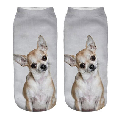 1Pair Women Low Cut Ankle Socks Funny Dog 3D Printing Sock Cotton Hosiery Printed Socks
1Pair Women Low Cut Ankle Socks Funny Dog 3D Printing Sock Cotton Hosiery Printed Socks