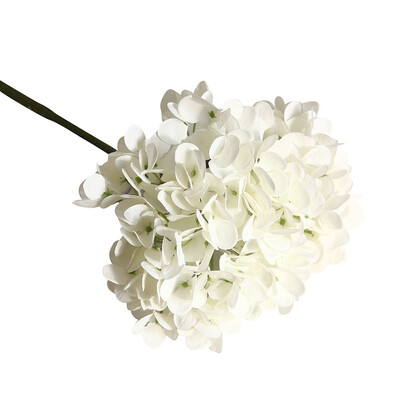 〖Follure〗Hydrangea Macarons Artificial Flower Plant Bonsai Wedding Decorations INS Wind
〖Follure〗Hydrangea Macarons Artificial Flower Plant Bonsai Wedding Decorations INS Wind