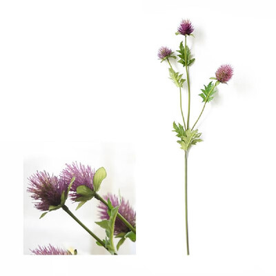 New Artificial Flowers 3 Heads Thorn Parsley Plant Simulation Flower DIY Home Living Room Decoration
New Artificial Flowers 3 Heads Thorn Parsley Plant Simulation Flower DIY Home Living Room Decoration