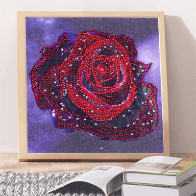 Gobestart Special Shaped Diamond Painting DIY 5D Partial Drill Cross Stitch Kits Crystal R
Gobestart Special Shaped Diamond Painting DIY 5D Partial Drill Cross Stitch Kits Crystal R