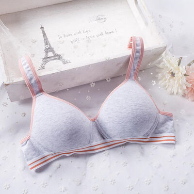 Comfortable Thin Underwear Push Up Adjustable Lingerie For Teenagers Children Bralette
Comfortable Thin Underwear Push Up Adjustable Lingerie For Teenagers Children Bralette