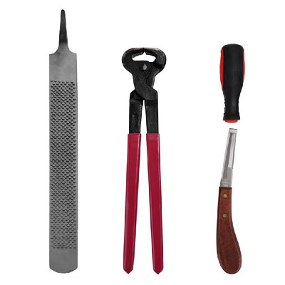 4PCS Horse Farrier Hoof Nipper Trim Shoeing File Rasp Handle Hoof Cutter Tool Horse Care Accessory
4PCS Horse Farrier Hoof Nipper Trim Shoeing File Rasp Handle Hoof Cutter Tool Horse Care Accessory
