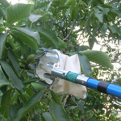 Metal Fruit Picker Convenient Fabric Orchard Gardening Apple Peach High Tree Picking Tools
Metal Fruit Picker Convenient Fabric Orchard Gardening Apple Peach High Tree Picking Tools