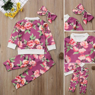 Newborn Infant Baby Girl Long Sleeve Floral Pullover Sweatshirt Pants Headband Clothing Set
Newborn Infant Baby Girl Long Sleeve Floral Pullover Sweatshirt Pants Headband Clothing Set