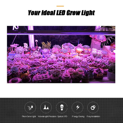 5-Pack LED Grow Light Strips 5W T5 Tube LED for Plants High Output Integrated Fixture Extendable 24 Inches Grow Lights for Greenho
5-Pack LED Grow Light Strips 5W T5 Tube LED for Plants High Output Integrated Fixture Extendable 24 Inches Grow Lights for Greenho