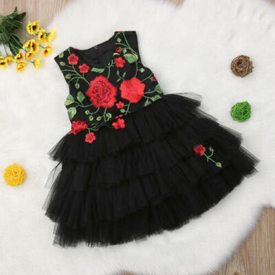 US Toddler Baby Girl Kids Princess Floral Embroidery Dress Party Dresses Outfits
US Toddler Baby Girl Kids Princess Floral Embroidery Dress Party Dresses Outfits