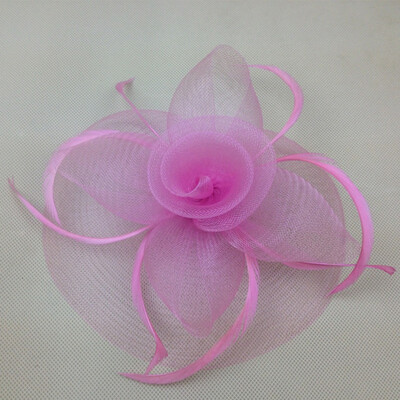 Elegant Lady Women Fascinator Hat Clips Hairpins Hair Accessories Church Wedding Hair Decoration Accessories
Elegant Lady Women Fascinator Hat Clips Hairpins Hair Accessories Church Wedding Hair Decoration Accessories