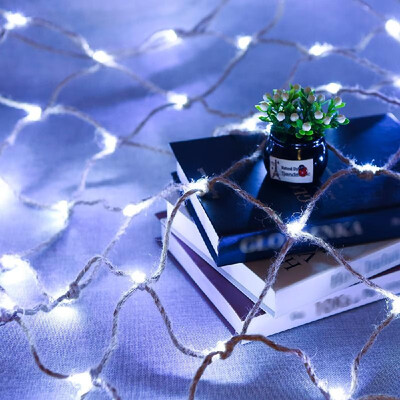 126 LEDs 1508m Retro Vintage Rope Net Fish String Lights Fairy String Lamp Indoor Outdoor Landscape IP44 Water Resistance for P
126 LEDs 1508m Retro Vintage Rope Net Fish String Lights Fairy String Lamp Indoor Outdoor Landscape IP44 Water Resistance for P