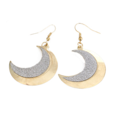 Hot Women Frosted Wild Stud Earrings Jewelry Retro Moon Wild Earrings