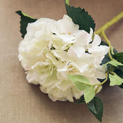FUNNYBUNNY Artificial Silk Flowers California Fake Beautiful Hydrangea Bunch Bouquet Flower for Home Wedding Decor Pack
FUNNYBUNNY Artificial Silk Flowers California Fake Beautiful Hydrangea Bunch Bouquet Flower for Home Wedding Decor Pack
