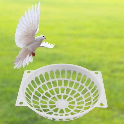 Greensen 10pcs Plastic Pigeon Breeding Eggs Nest Birds Hatch Tool Basin Birds Supplies
Greensen 10pcs Plastic Pigeon Breeding Eggs Nest Birds Hatch Tool Basin Birds Supplies