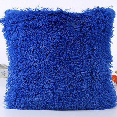 Plush Soft Fur Plush Throw Pillow Case Cover Home Bed Room Sofa Decoration Furry Waist Comfort Cushion Cover Pillowcase
Plush Soft Fur Plush Throw Pillow Case Cover Home Bed Room Sofa Decoration Furry Waist Comfort Cushion Cover Pillowcase