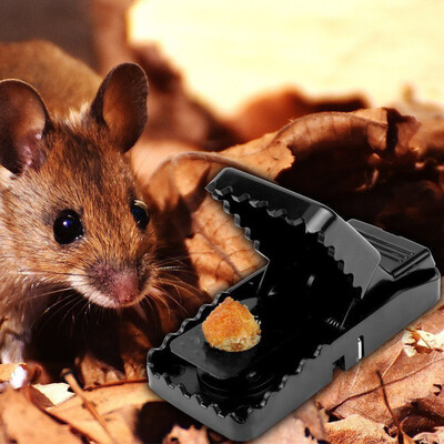 〖Follure〗Easy Reusable Rat Trap Catching Mice Mouse Mousetrap Spring Rodent Trap
〖Follure〗Easy Reusable Rat Trap Catching Mice Mouse Mousetrap Spring Rodent Trap