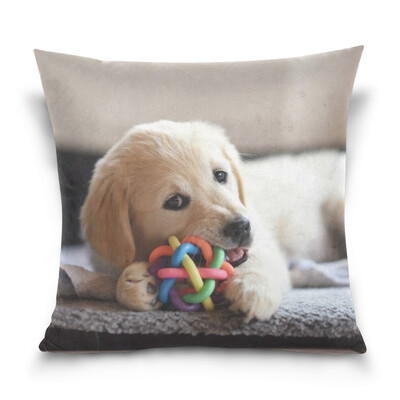 ALAZA Throw Pillow Case Decorative Pillow Covers 16 X 16 inch Golden Retriever Dog Pattern Pillowcase
ALAZA Throw Pillow Case Decorative Pillow Covers 16 X 16 inch Golden Retriever Dog Pattern Pillowcase