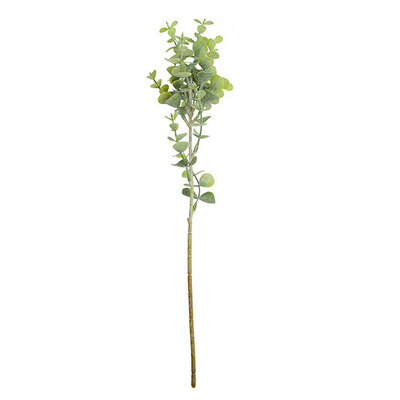 Gobestart Ins Nordic Wind Simulation Flower Green Plant Eucalyptus Leaf Wedding Decoration
Gobestart Ins Nordic Wind Simulation Flower Green Plant Eucalyptus Leaf Wedding Decoration