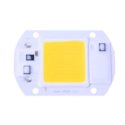20W LED Floodlights COB Chip 220V Input Integrated Smart IC Driver
20W LED Floodlights COB Chip 220V Input Integrated Smart IC Driver