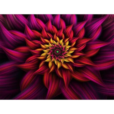 kirin show Diamond Painting Floral 5D Diy Full drill Mosaic Diamond Embroidery Sale Picture Of Rhinestone DIY Gift Wall Art
kirin show Diamond Painting Floral 5D Diy Full drill Mosaic Diamond Embroidery Sale Picture Of Rhinestone DIY Gift Wall Art