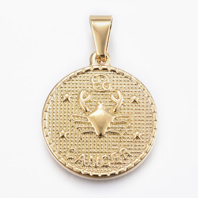 304 Stainless Steel Pendants Flat Round with Twelve ConstellationZodiac Sign Cancer 29x25x32mm Hole 9x45mm
304 Stainless Steel Pendants Flat Round with Twelve ConstellationZodiac Sign Cancer 29x25x32mm Hole 9x45mm