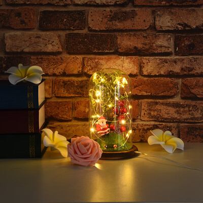 Siaonvr Wire Lamp Microscopic Scene Ornaments Santa Claus Red Fruit