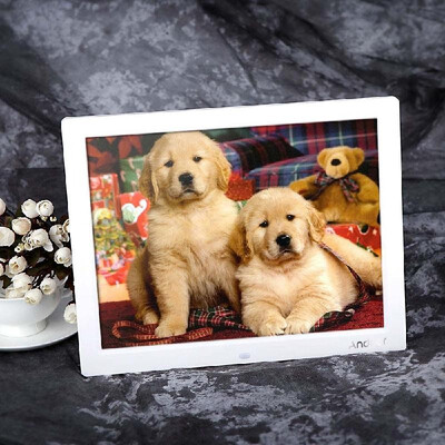 Andoer 14 HD TFT-LCD 1024768 Digital Photo Frame Alarm Clock MP3 MP4 Movie Player with Remote Desktop
Andoer 14 HD TFT-LCD 1024768 Digital Photo Frame Alarm Clock MP3 MP4 Movie Player with Remote Desktop