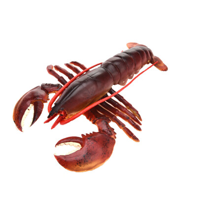 〖Follure〗Simulation Model Of LobsterKids Early Education Play ToyKitchen Decoration
〖Follure〗Simulation Model Of LobsterKids Early Education Play ToyKitchen Decoration