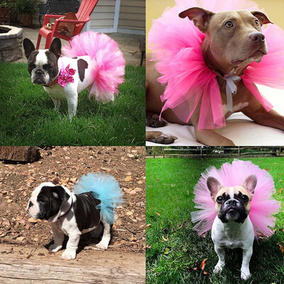 Pet Puff Lace Skirt European And American Holiday Pet Mesh TUTU Skirt Cosplay Dress Pet Cothes Skirt Wild Fashion Beautiful
Pet Puff Lace Skirt European And American Holiday Pet Mesh TUTU Skirt Cosplay Dress Pet Cothes Skirt Wild Fashion Beautiful