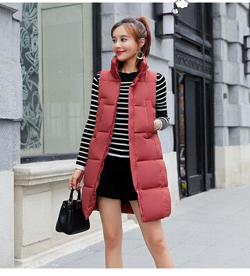 2018 autumn&winter new Korean style vertical collar casual fashion warm mocha badminton down cotton vest female vest
2018 autumn&winter new Korean style vertical collar casual fashion warm mocha badminton down cotton vest female vest