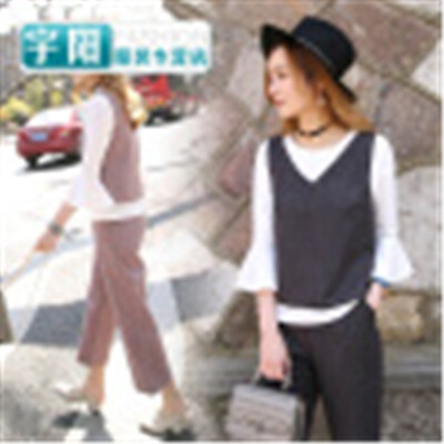 Set female spring fashion tide 2017 new Korean version of the seven-point sleeve shirt vest womens wide pants three-piece
Set female spring fashion tide 2017 new Korean version of the seven-point sleeve shirt vest womens wide pants three-piece