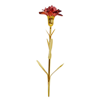 Gobestart Gold Foil Carnation Mothers Day Is The Best Choice For Moms Gift Birthday Gift
Gobestart Gold Foil Carnation Mothers Day Is The Best Choice For Moms Gift Birthday Gift