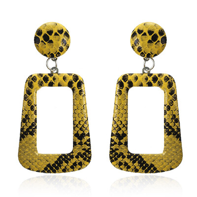 New Big Geometric Drop Earrings for Women Punk Vintage Statement Earrings Snake Skin Party Jewelry Gift
New Big Geometric Drop Earrings for Women Punk Vintage Statement Earrings Snake Skin Party Jewelry Gift