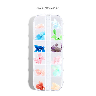 Toponeto Nail Ornament Dry Flower Color Petals Ziyang Flower Nail Dry Nail DIY Decoration
Toponeto Nail Ornament Dry Flower Color Petals Ziyang Flower Nail Dry Nail DIY Decoration