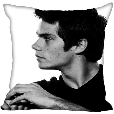 Dylan Pillow Case High Quality New Years Pillowcase Wedding Decorative Pillow Cover Gift For Children 35x35CM
Dylan Pillow Case High Quality New Years Pillowcase Wedding Decorative Pillow Cover Gift For Children 35x35CM