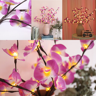 〖Follure〗Phalaenopsis Tree Branch Light Floral Lights Home Christmas Party Garden Decor
〖Follure〗Phalaenopsis Tree Branch Light Floral Lights Home Christmas Party Garden Decor
