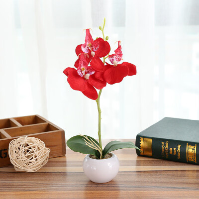 Gobestart Simulated Plant Bonsai Indoor Butterfly Orchid Bonsai Plants Elegance Tranquilit
Gobestart Simulated Plant Bonsai Indoor Butterfly Orchid Bonsai Plants Elegance Tranquilit