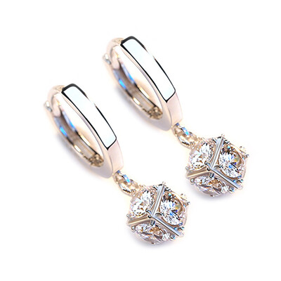 Silver Long Temperament Wild Zircon Diamond Earrings Gift Fashion Ms