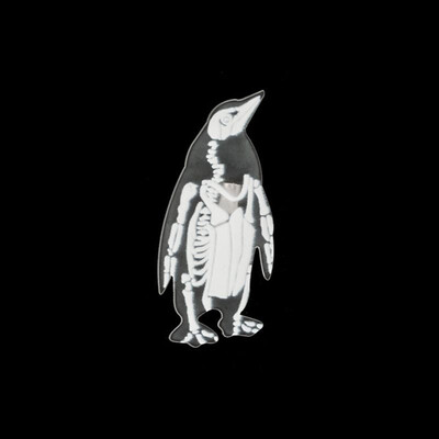 Halloween Transparent Resin Brooches Pins Cartoon Cartoon Animal Collar Badge for Jeans Bags Backpacks Party Costume Decorations
Halloween Transparent Resin Brooches Pins Cartoon Cartoon Animal Collar Badge for Jeans Bags Backpacks Party Costume Decorations