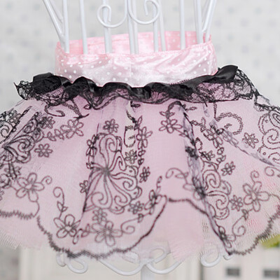 Princess Lace Tutu Skirt Dogs Dress For Pet Lower Body Skirts Fashion Clothes
Princess Lace Tutu Skirt Dogs Dress For Pet Lower Body Skirts Fashion Clothes
