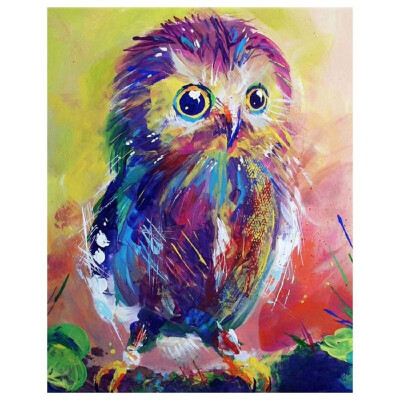 DIY Diamond Painting Sets Different Shape Diamond Drawing Cross Stitch Wall Decorative Color Cat 30x25cm
DIY Diamond Painting Sets Different Shape Diamond Drawing Cross Stitch Wall Decorative Color Cat 30x25cm